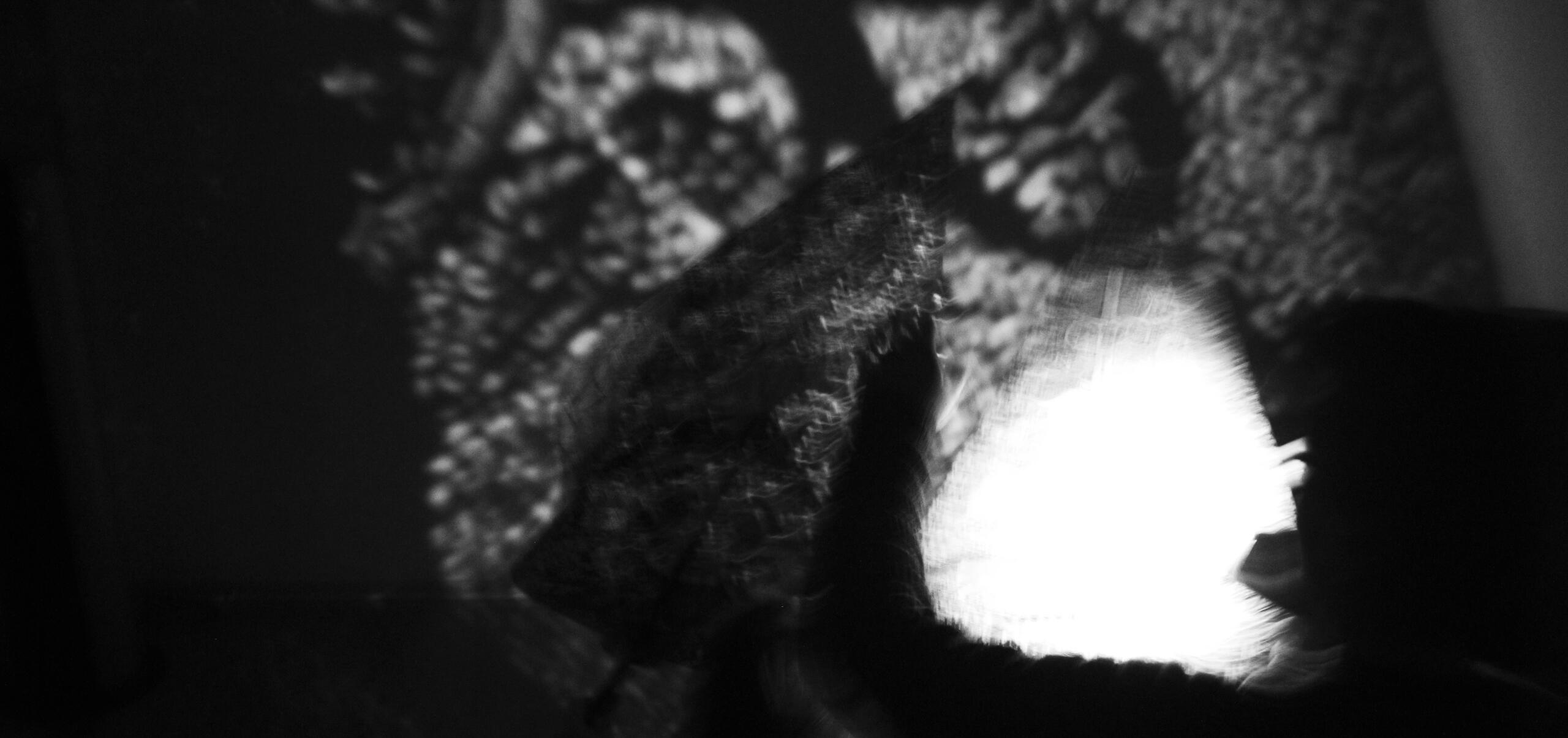 Shadow play